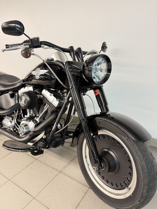 HARLEY-DAVID SON SOFTAIL FAT BOY - Imagen 2