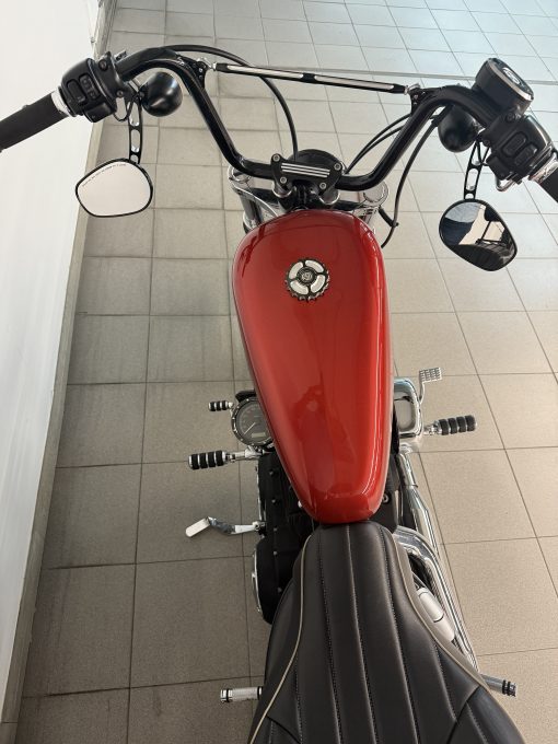 HARLEY-DAVIDSON SPORTSTER 883 IRON - Imagen 7