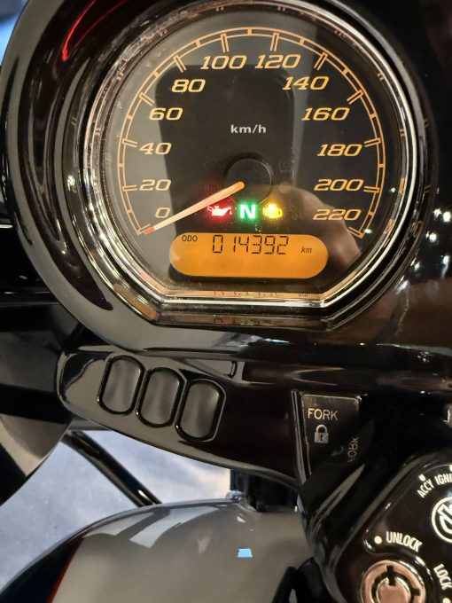 HARLEY-DAVIDSON TOURING ROAD GLIDE PATRIOT - Imagen 9